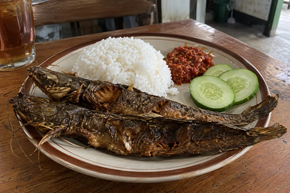 Nasi lele goreng