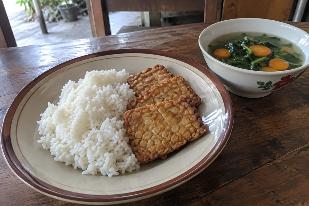 Nasi sayur & tempe